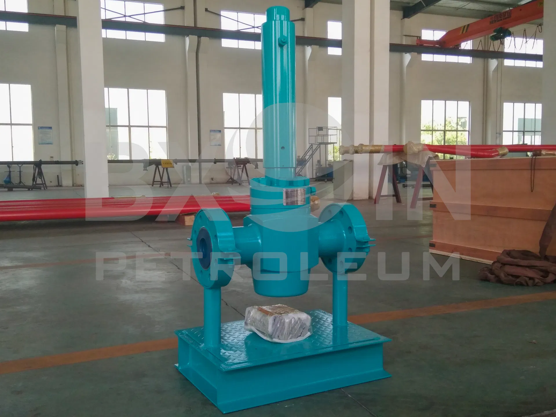 Safety Valve Assembly