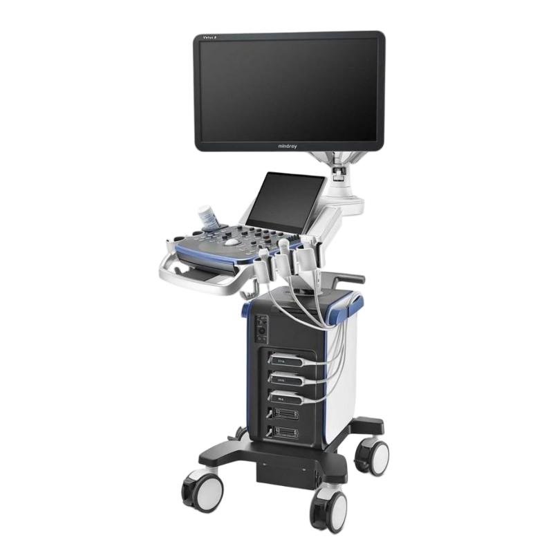 Innovative Color Doppler Ultrasound System for Animal Diagnostics