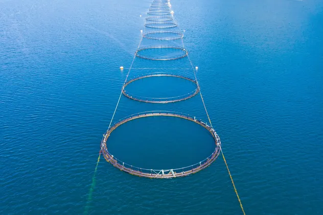 Aquaculture
