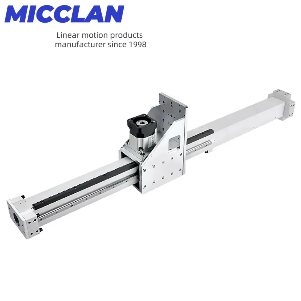 Heavy Duty Custom Xyz Gantry System for Logistics &amp; Warehousing