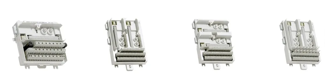 DI821 Digital Input Module