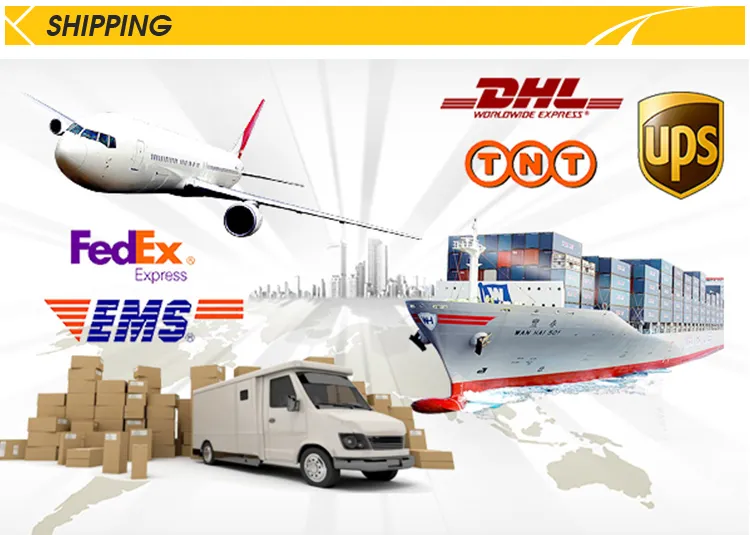 Shipping Logistics
