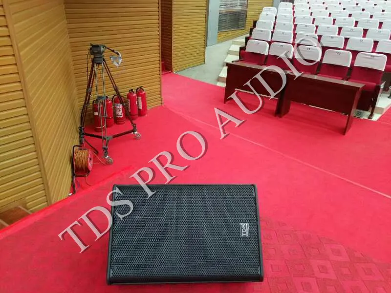 PS15 High Powered Stage Monitor Speaker