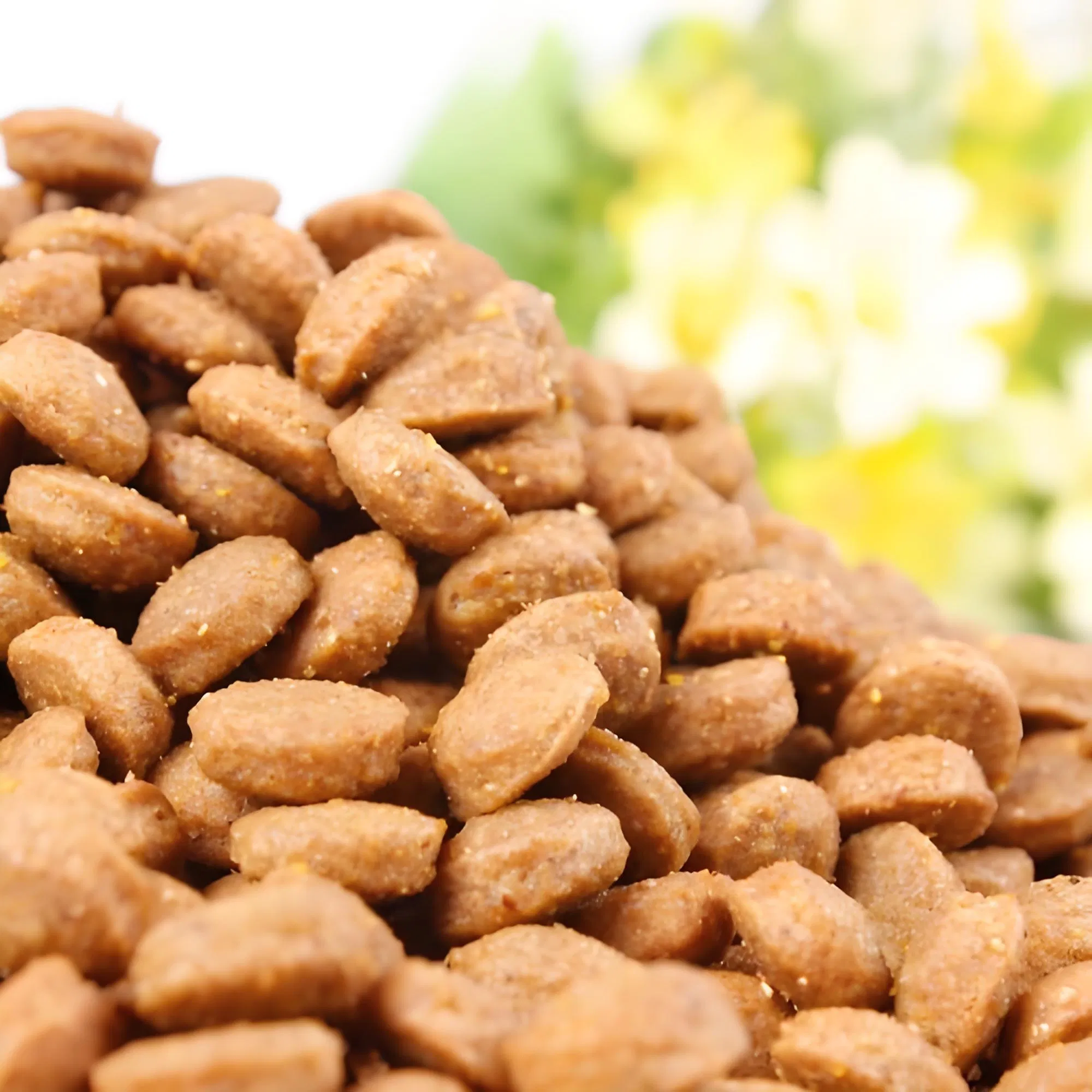 Industrial Pet Food Extruder System, ISO Certified, 1200kg/H, with Predictive Maintenance Sensors, for Downtime Reduction