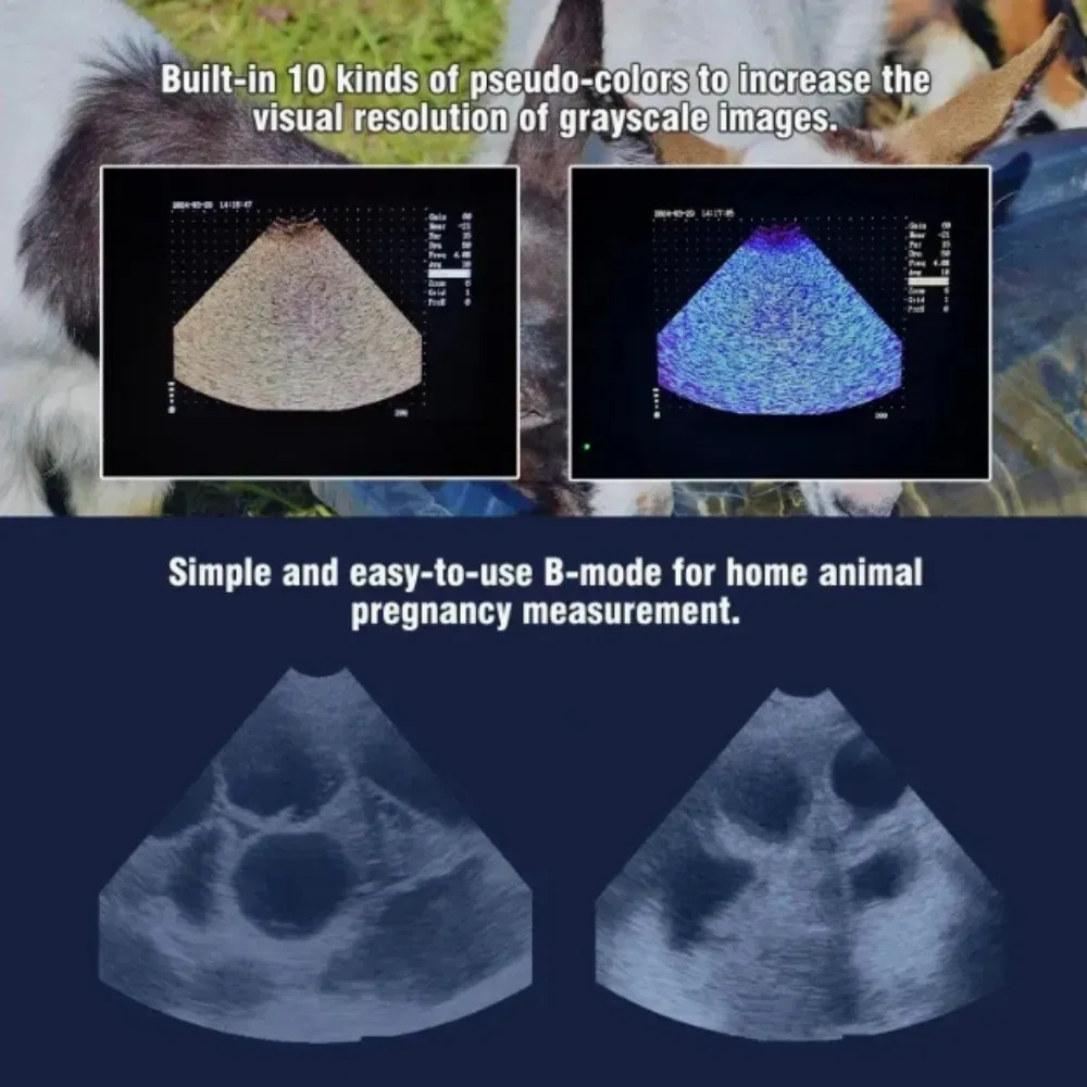 Mt Medical Portable Handheld Professional Animals Palm Full-Digital Veterinary Ultrasound Machine System Price