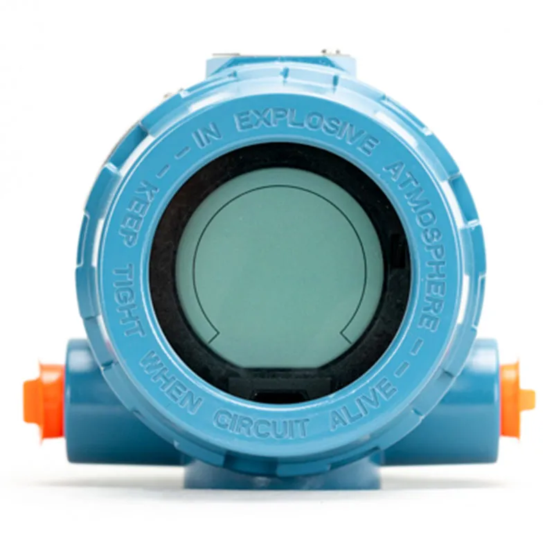 Temperature Transmitter View 1