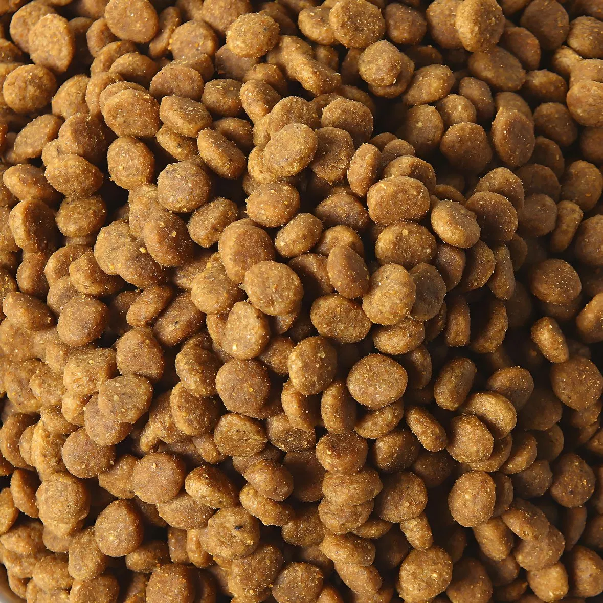 Industrial Pet Food Extruder System, ISO Certified, 1200kg/H, with Predictive Maintenance Sensors, for Downtime Reduction