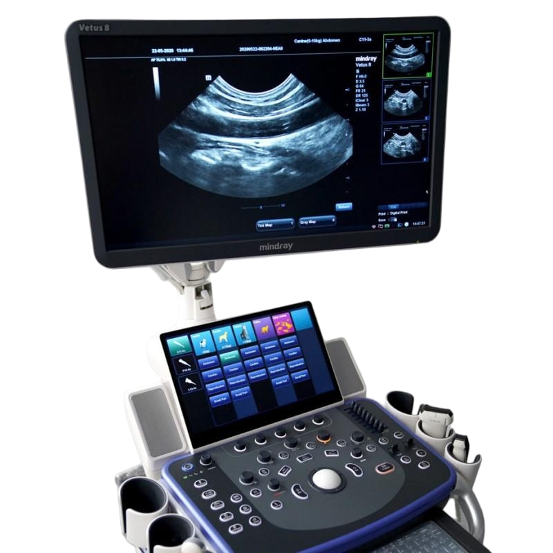 Innovative Color Doppler Ultrasound System for Animal Diagnostics