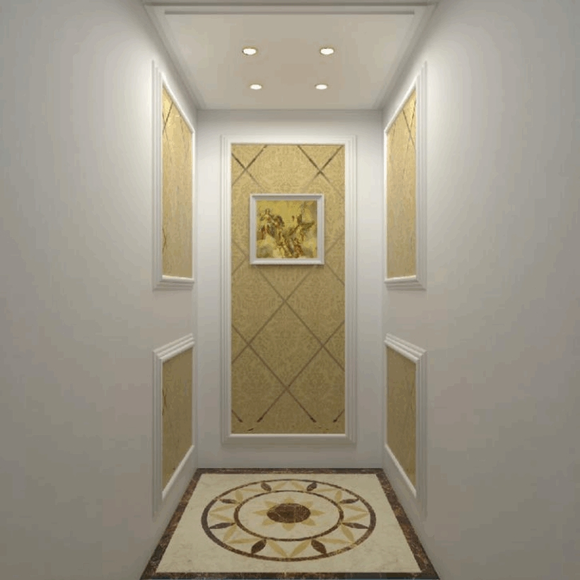 Modern Mrl Passenger Elevator System with IoT Connectivity and Predictive Maintenance