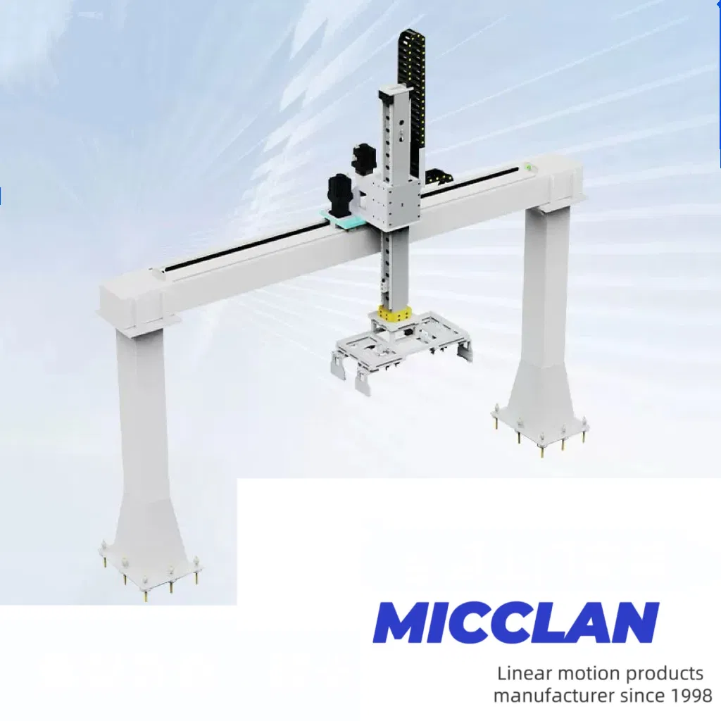 Custom Xyz Gantry System for Logistics &amp; Material Handling