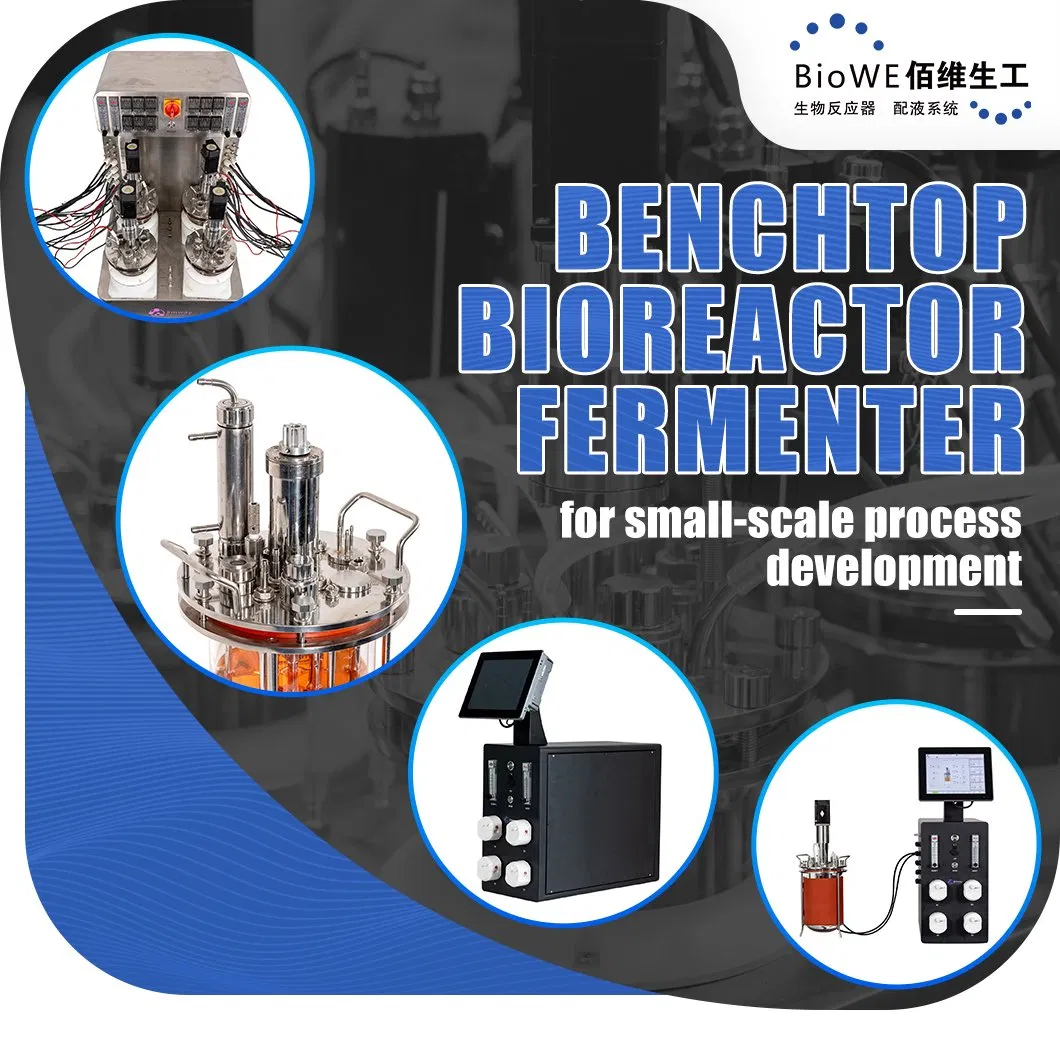 Bioreactor System