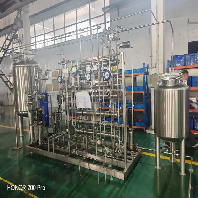 Purified Water Systems 1