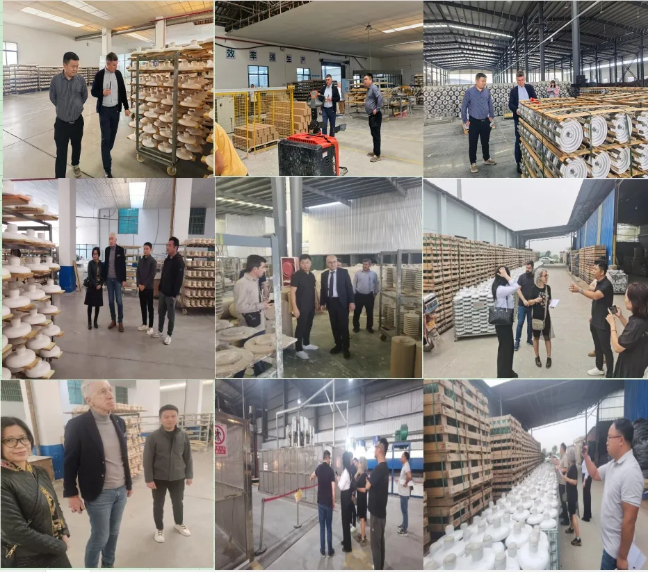 Intercambio técnico con clientes