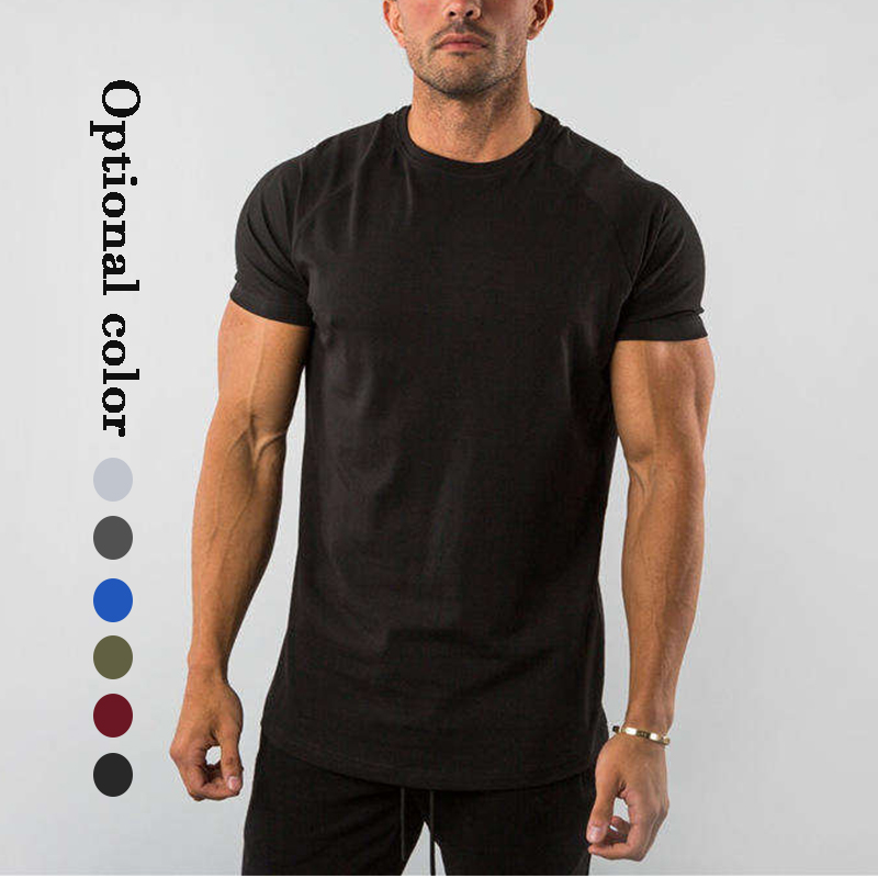 Athletic Active Wear Slim Fit Men's T-shirts Curve Hem Blank Workout Fitness Sportswear Gym Training Tshirt