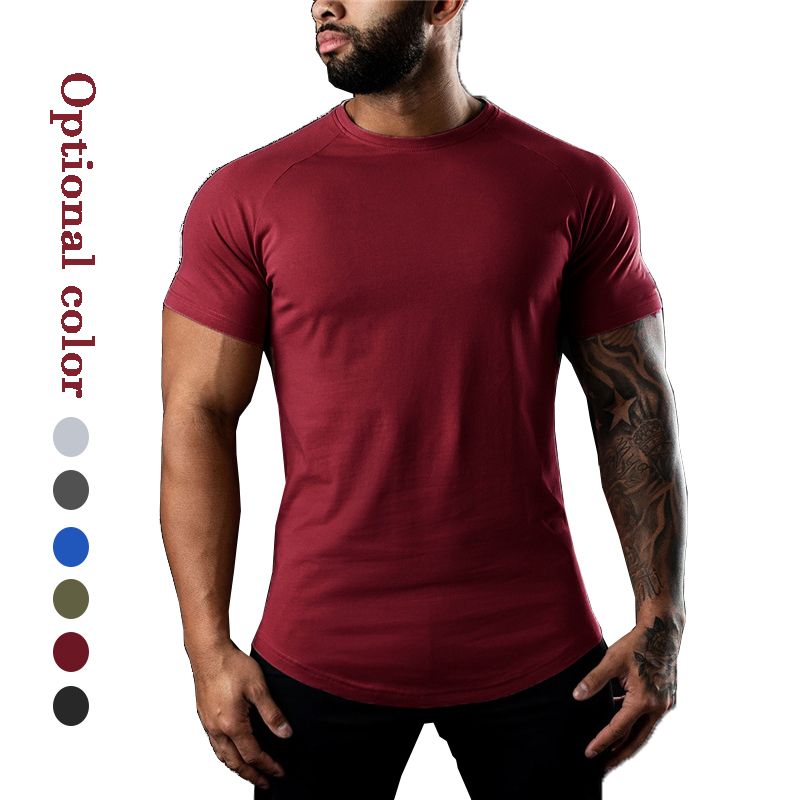 Athletic Active Wear Slim Fit Men's T-shirts Curve Hem Blank Workout Fitness Sportswear Gym Training Tshirt