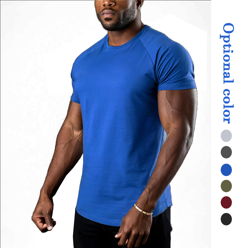 Athletic Active Wear Slim Fit Men's T-shirts Curve Hem Blank Workout Fitness Sportswear Gym Training Tshirt