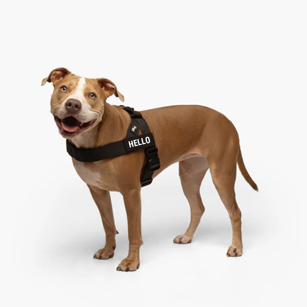Personalized Pet's Name Tactical Dog Harness Custom Logo Light Weight Nylon Webbing No Pull Dog Harness Vest