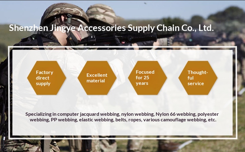 High-strength Polyester Webbing Application