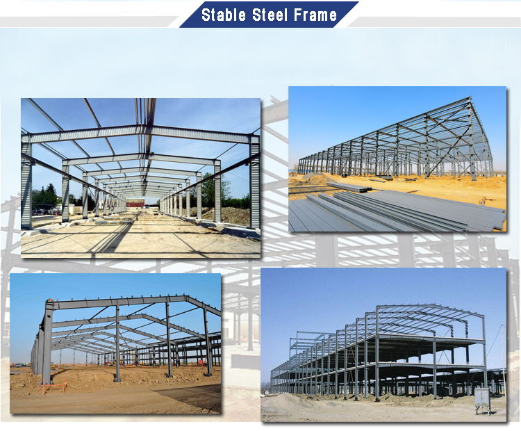 Steel Frame Structure