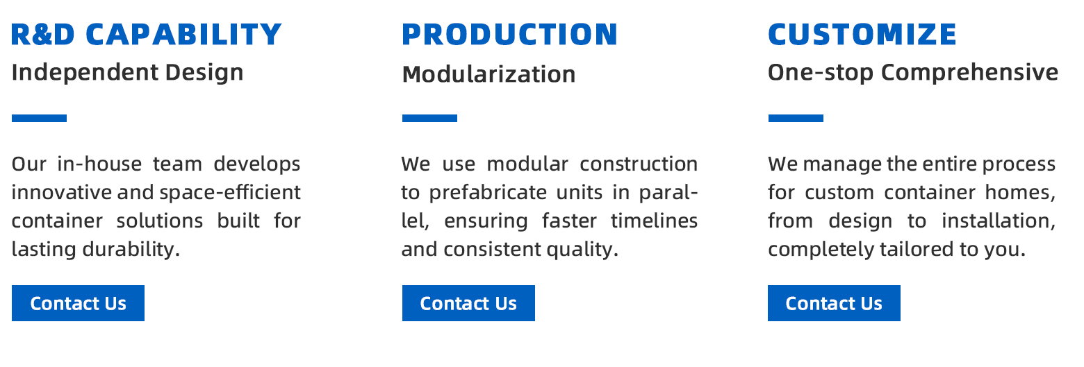 Enterprise project execution