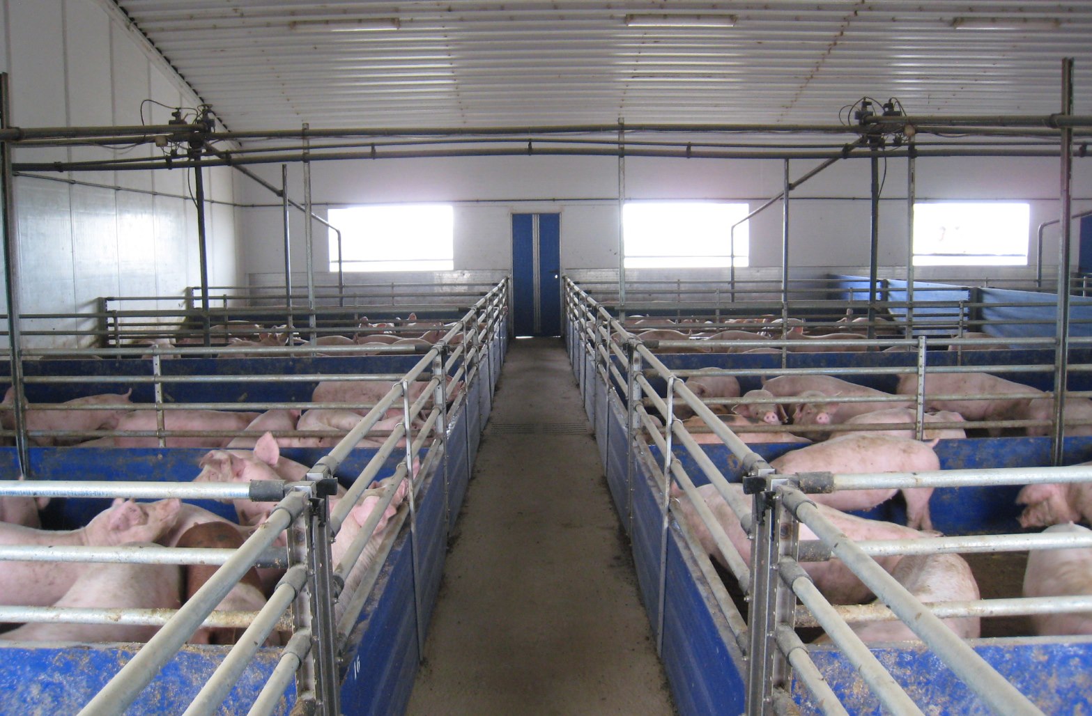 Temporary Housing Structure
