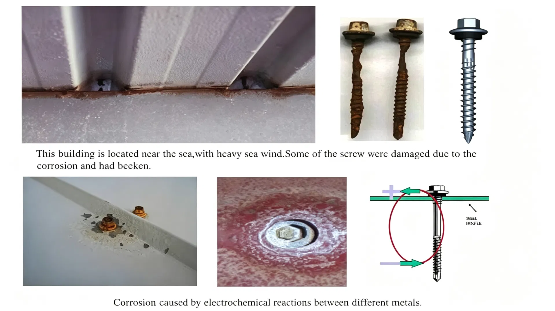 Corroded vs Anti-rust Screws comparison