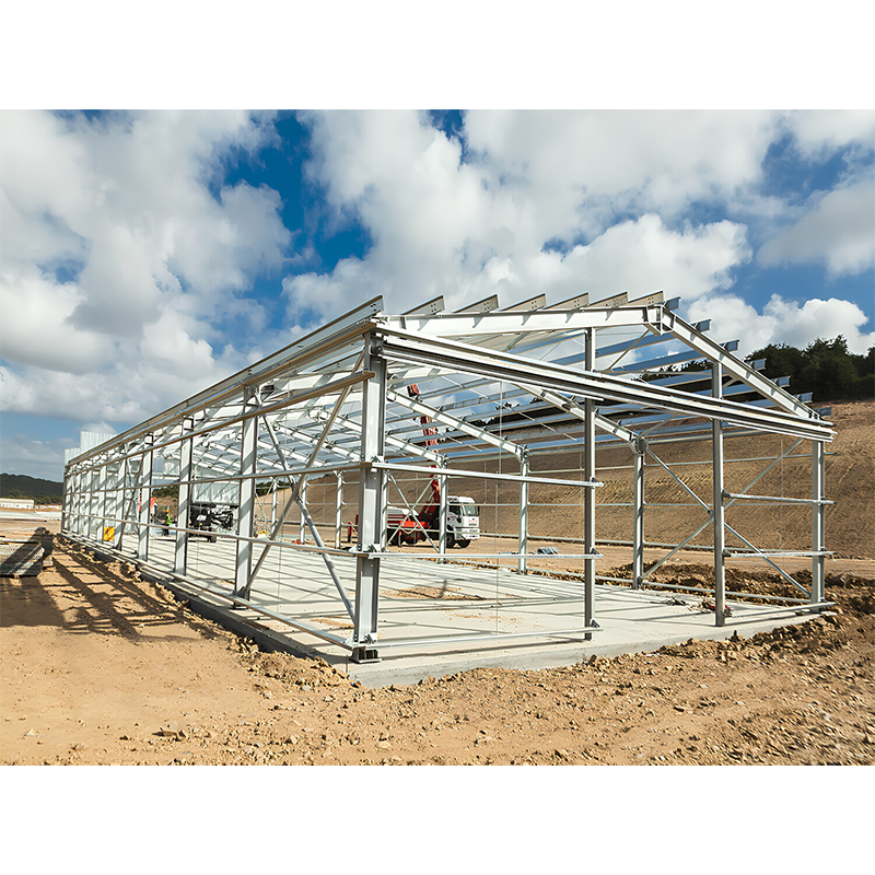 High Quality Customized Modern Industrial Steel Structure Warehouse And Workshop Building For Bedroom And Hospital Use