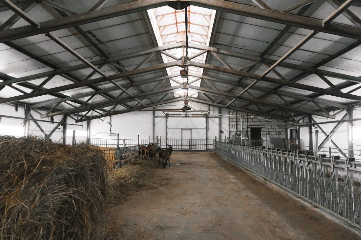 Modern Minimalist Prefabricated Steel Structure Hospital Workshop And Office Buildings Construction Solutions