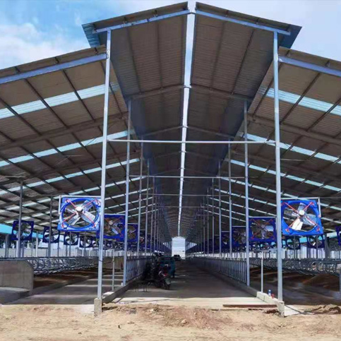 Modern Structural Steel Multi-Story Modular Prefabricated College Apartment Campus School Academy Building Solid H-shape Steel