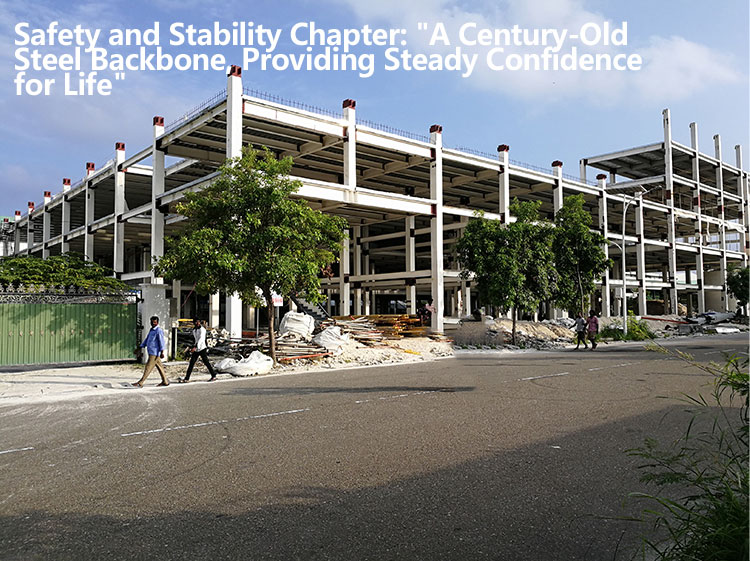 Steel Structure building layout 2