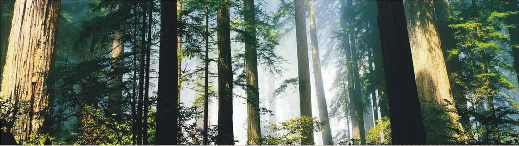 Herringbone Parquet Collection SPC Plank Flooring