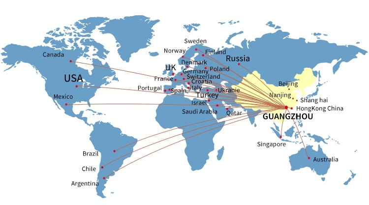 Bridal 925 Sterling Silver Luxury Simple Flower Shaped Exquisite Earrings Women's Jewelry