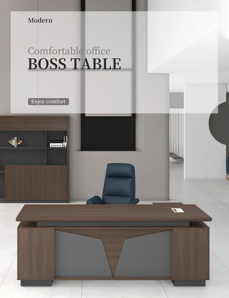 Executive Desk View 1