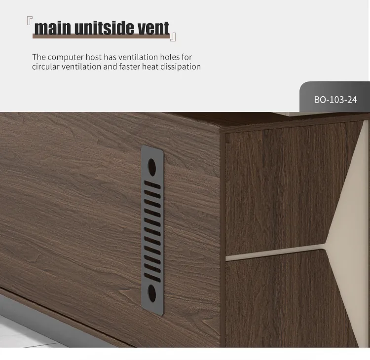 Executive Desk View 5