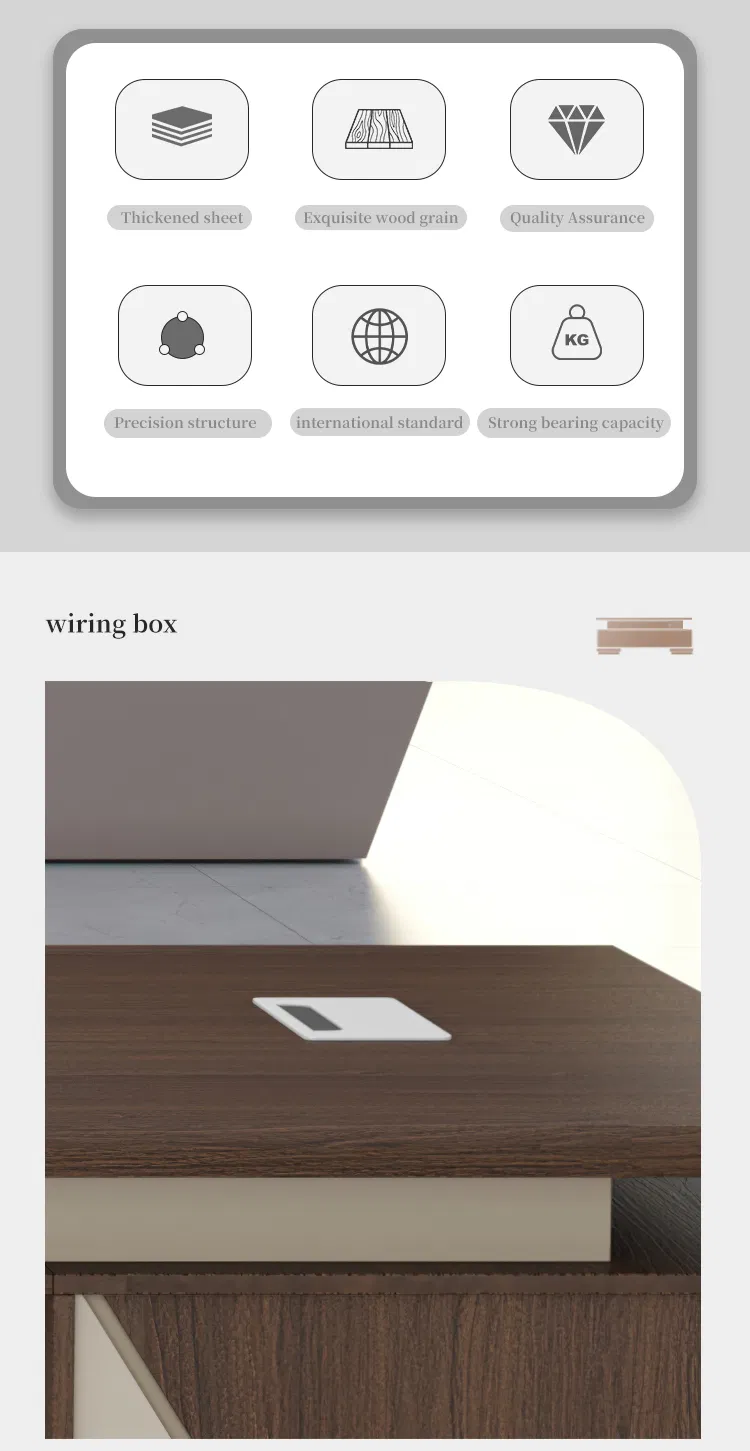 Executive Desk View 2