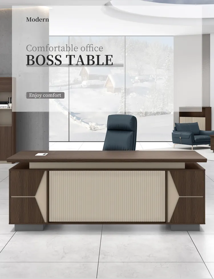 Executive Desk View 1