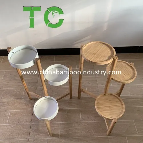 Decorative Plant Display