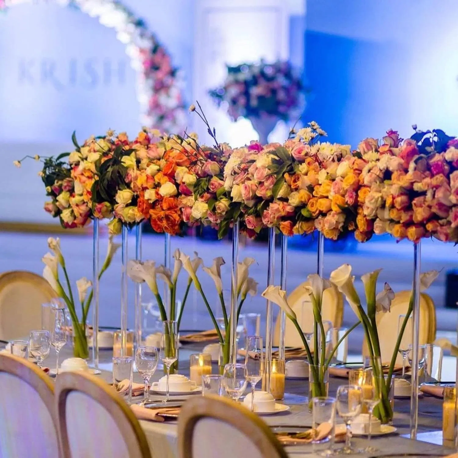 Clear Acrylic Stand 2