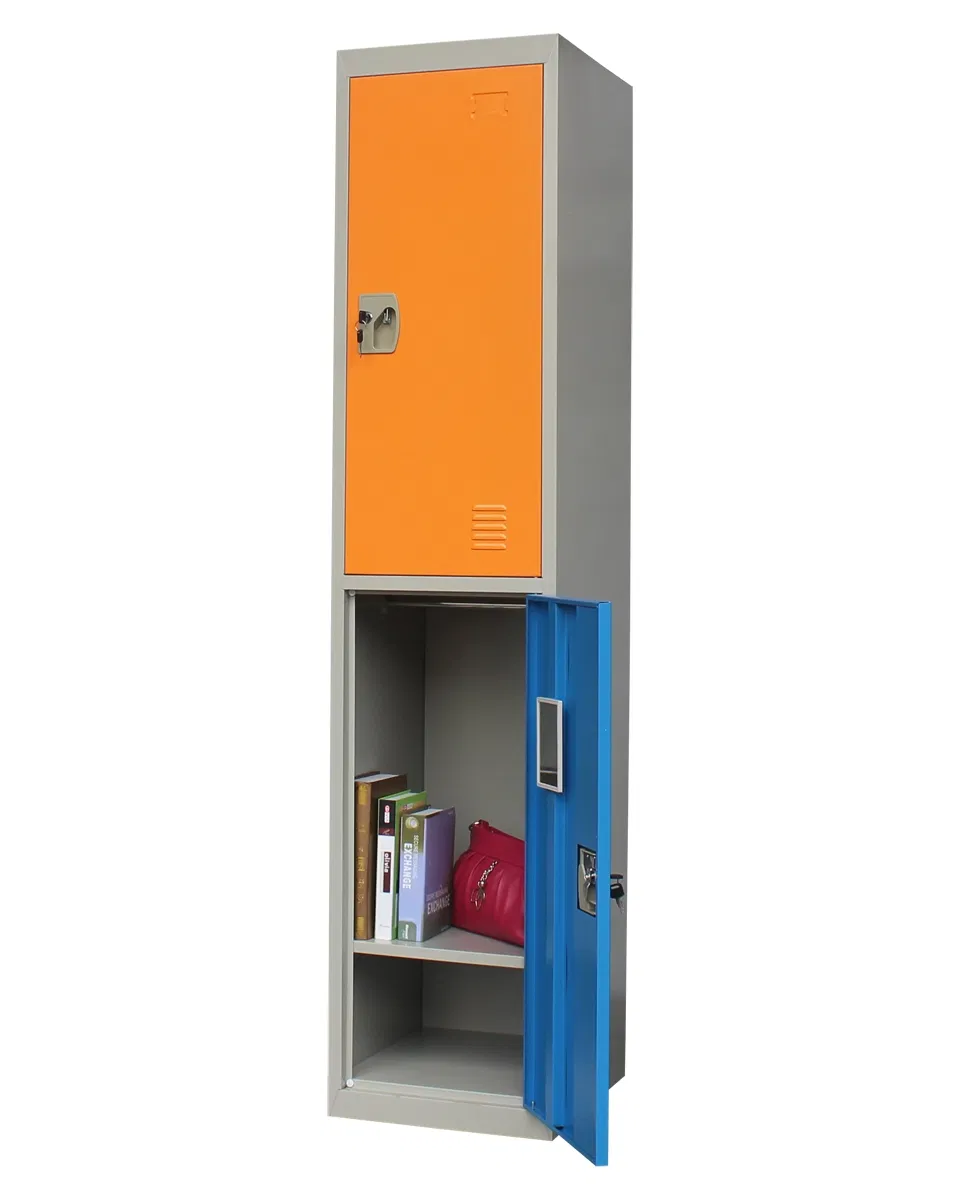 Affordable Durable Chinese Cheap 2 Tiers Metal Gym Staff Storage 2 Doors Wardrobe
