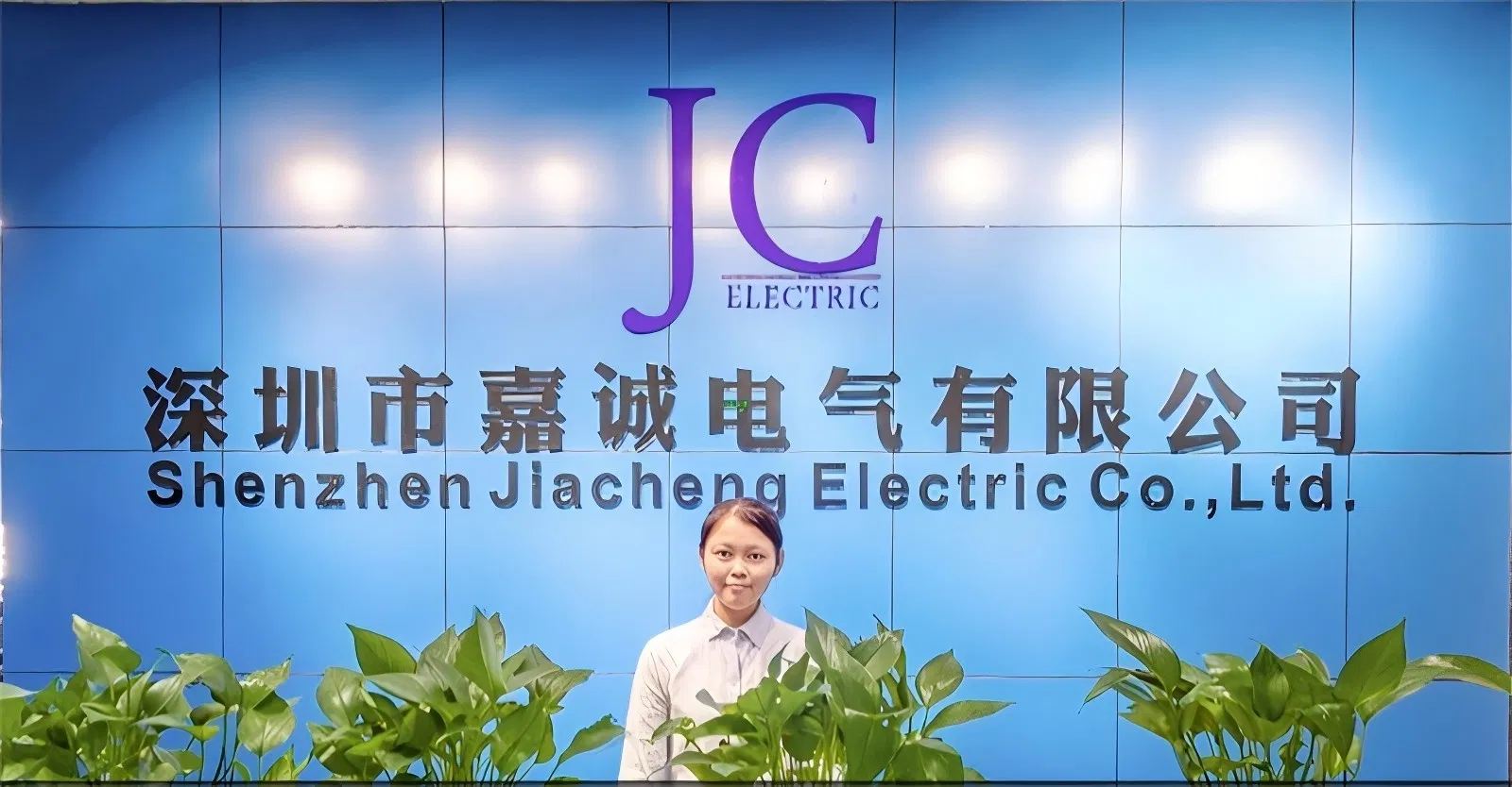 Automotive Electrical Cable Harness for EV Charging