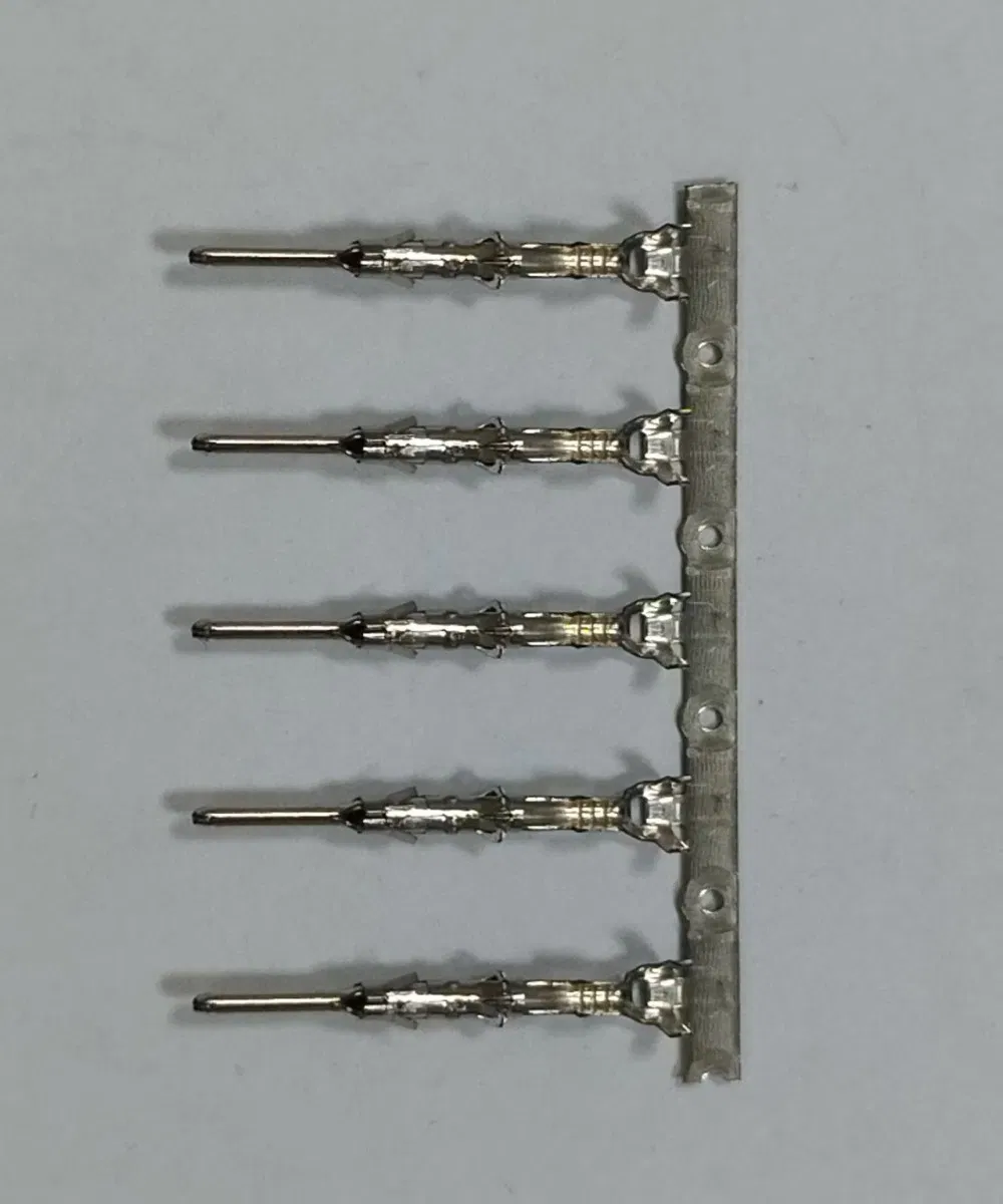 Hydrogen Fuel Cell Terminals