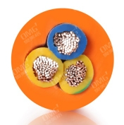 Automotive Electric Vehicle Charging Extension EV Power Cables