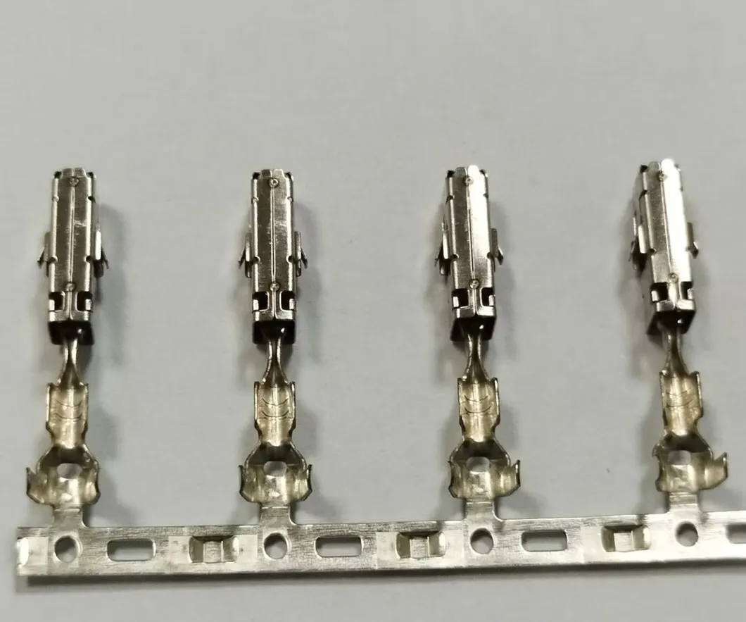 EV Terminals Analysis