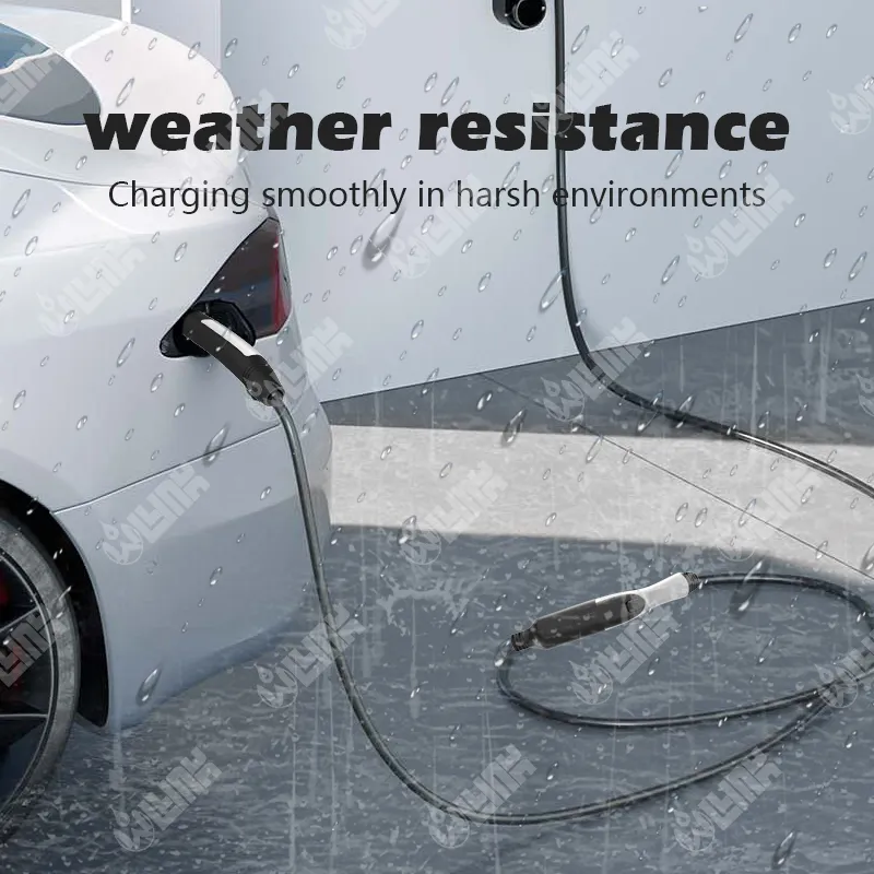 EV Charging Detail 5