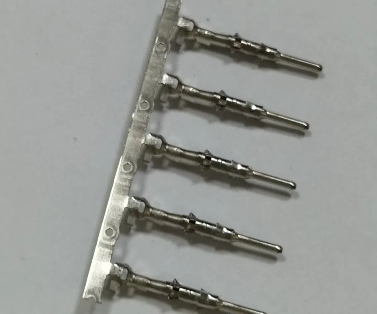 Hydrogen Fuel Cell &amp; EV Battery Dual-Compatible Terminals for Multi-Energy Vehicle Platforms