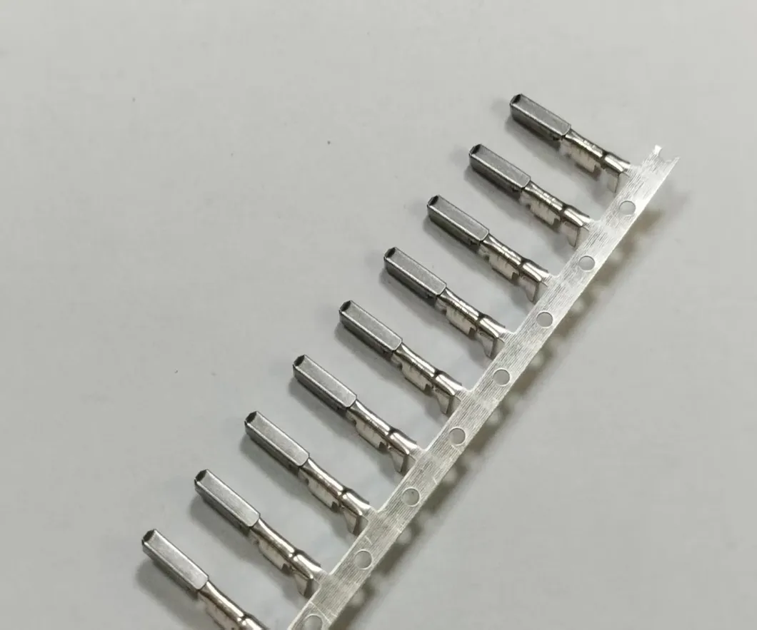 EV Signal Terminal Details