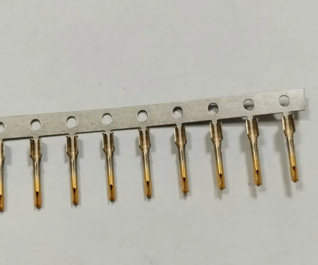 Heavy-Duty EV Terminals