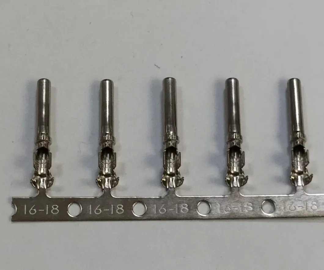 Eco-Circular EV Terminals 1