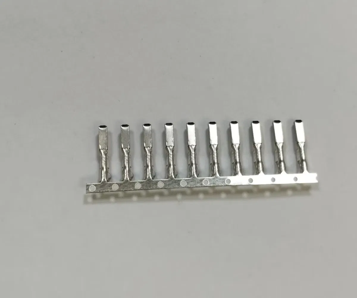 Premium EV Battery Terminals for Electric Vehicles with Superior Conductivity