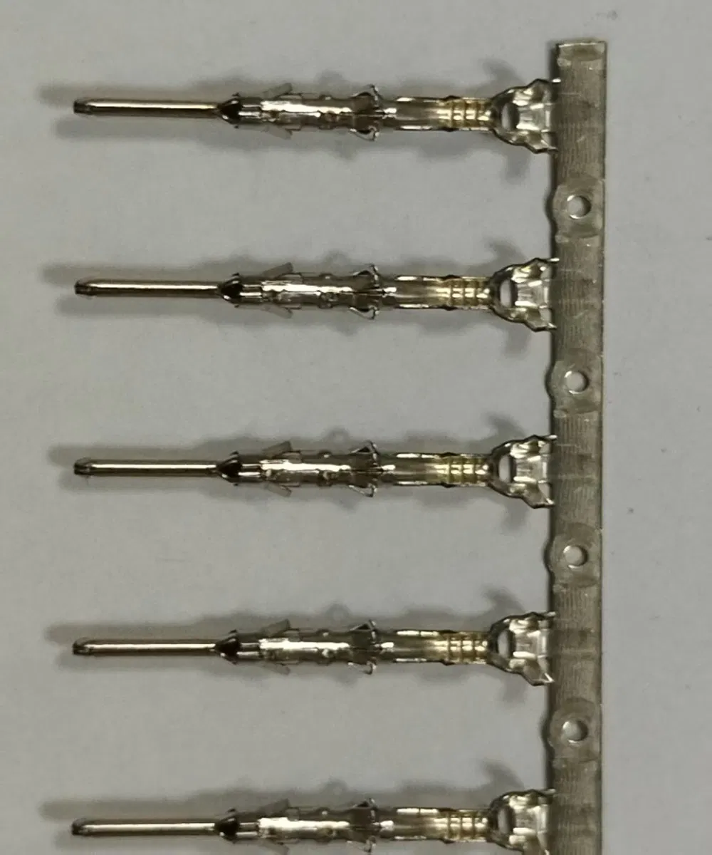 Hydrogen Fuel Cell &amp; EV Battery Dual-Compatible Terminals for Multi-Energy Vehicle Platforms